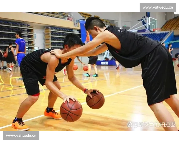 篮球实战全攻略技巧宝典全面提升投篮运球防守胜率